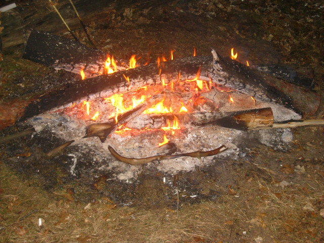 19992852.jpg