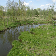 DSC00046-5