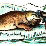 image011