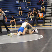 IMG-0311