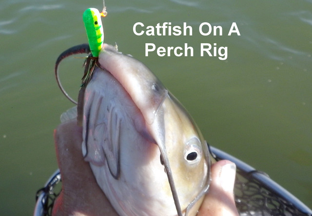 PERCH-RIG