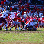IMG-0470