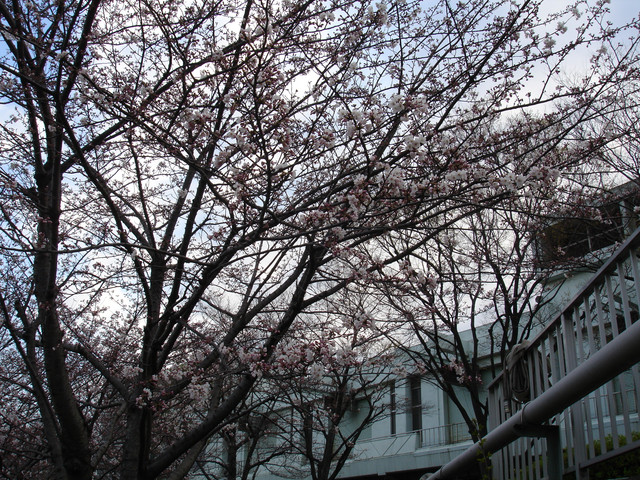 2010-03-27-33