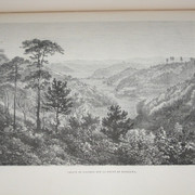 IMG 9683
