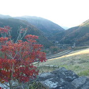 P1130472