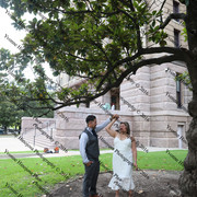 IMG 4224