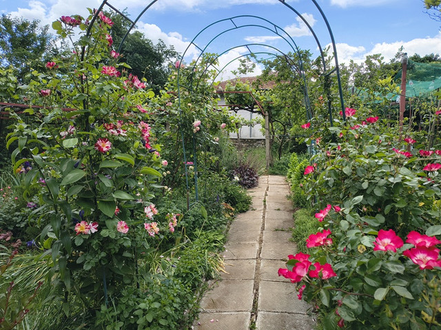 garden.jpg