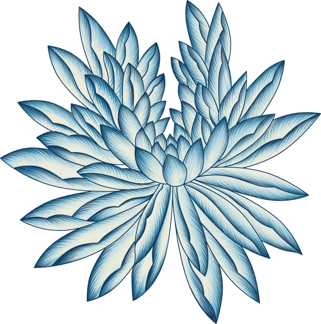c62d5699d17c7a47a0f573fcf084e2e4.png