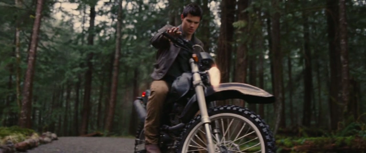 The Twilight Saga: Breaking Dawn - Part 1 Screenshot