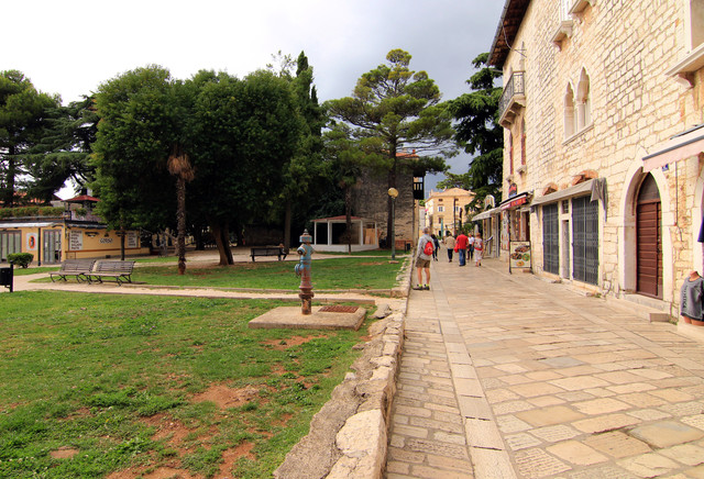 IMG-9730.jpg