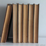 IMG-7387
