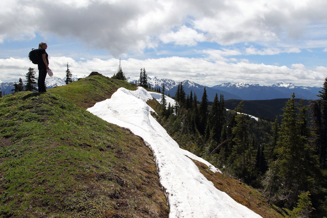 Hur-Ridge-Irene-3-B-Border-Maker