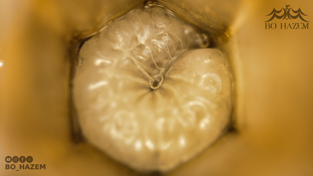 C0524-114636034