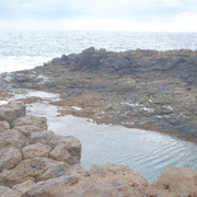 DSCF8628