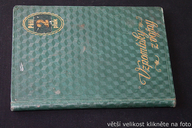 IMG-4180.jpg