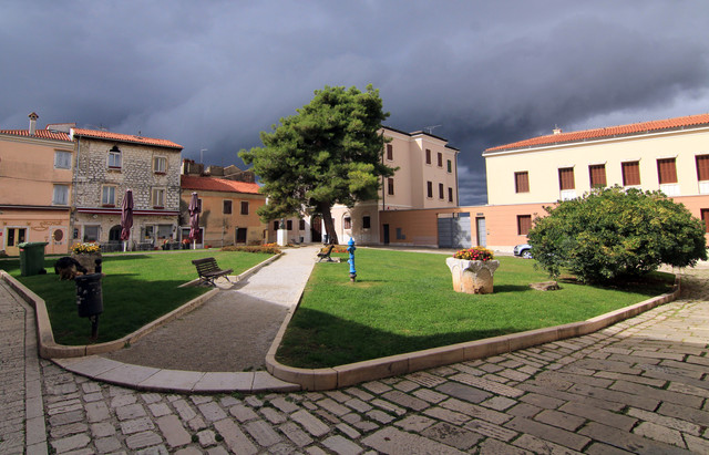IMG-9727.jpg