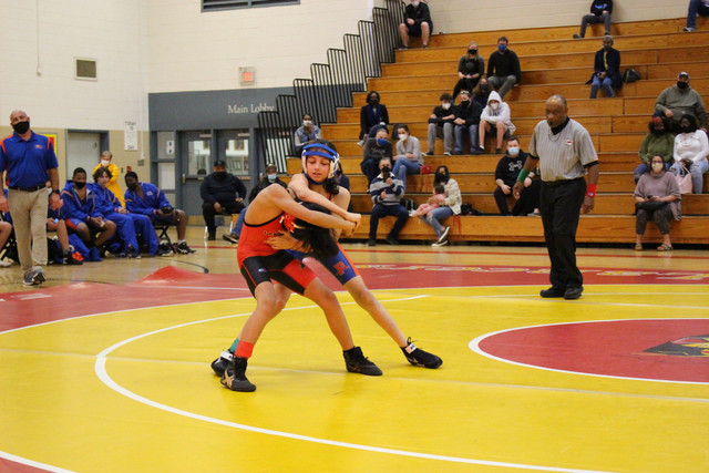 IMG-0017