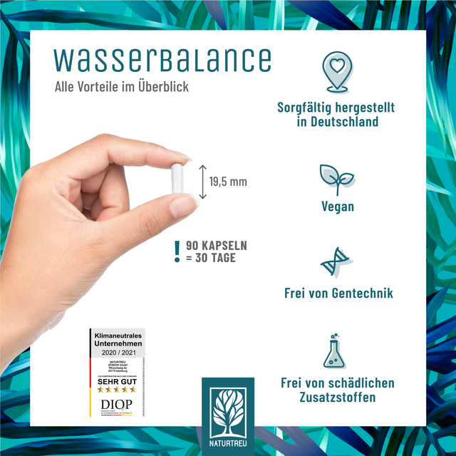Wasserbalance-5