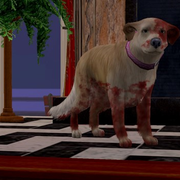 zzw-Ch24-P2
