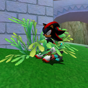 Hidden-cuddles