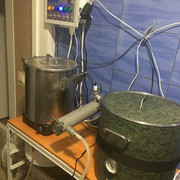 IMG-6412