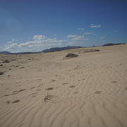 DSC01201