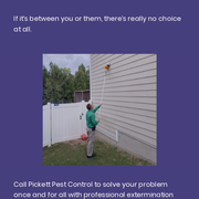 Trusted Roosevelt, UT Extermination Pros: Call Pickett Pest Control For Help