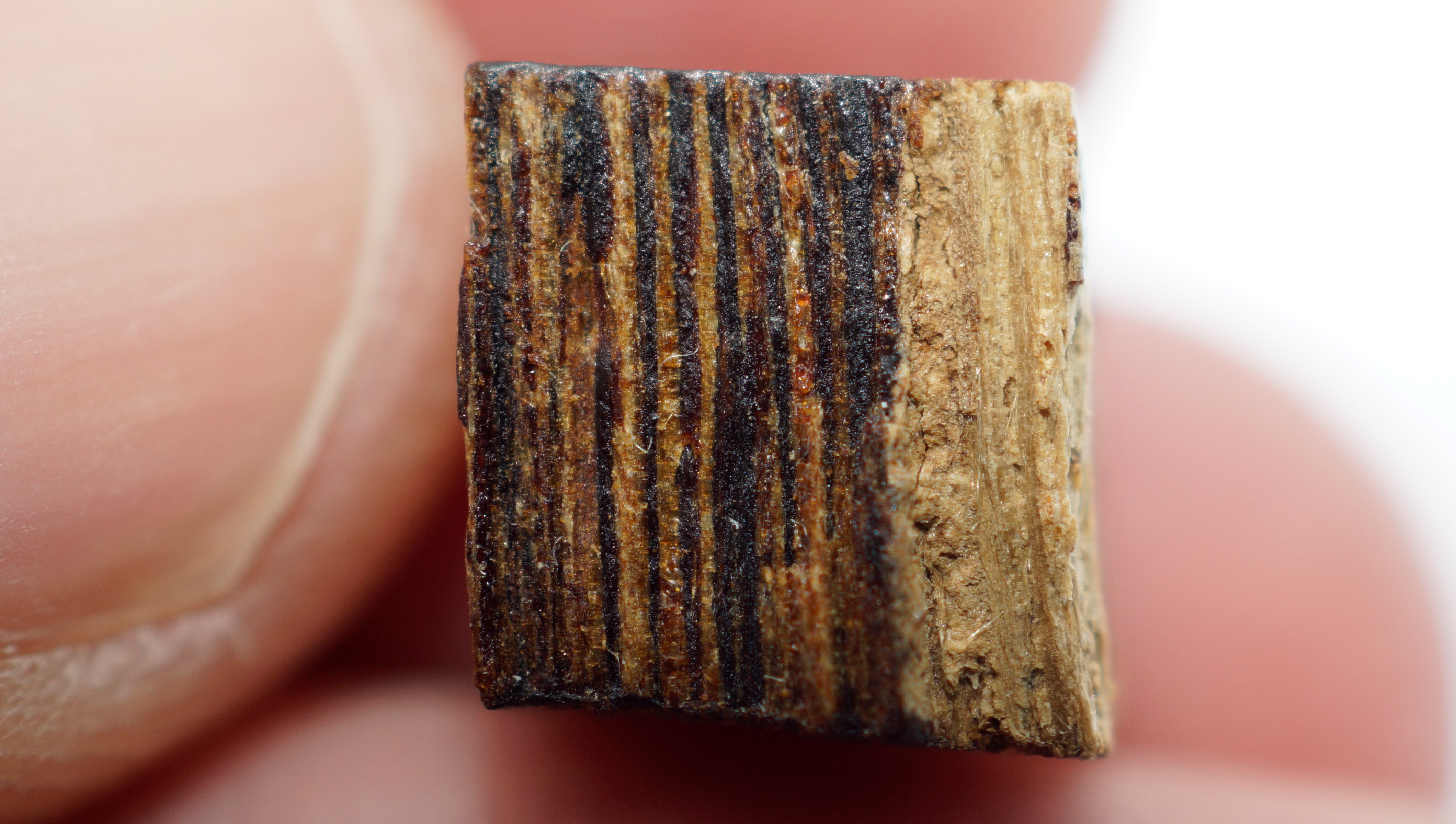 [Ouddict.com] Oud Wood