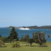 P1198469