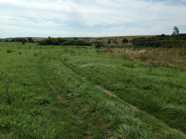 IMG-4092.jpg