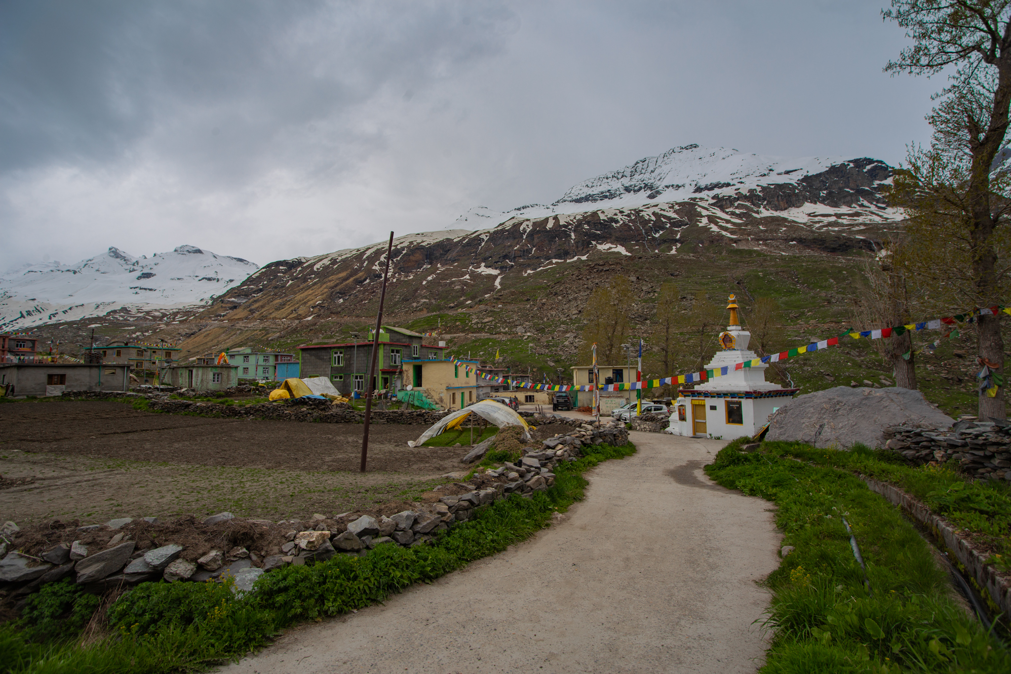 IMG-8779-1.jpg