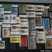 IMG-2504