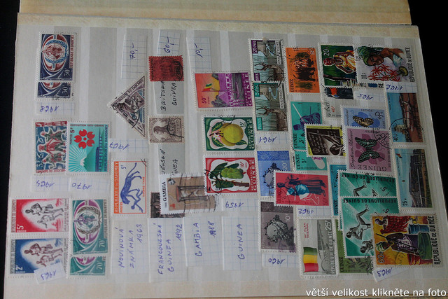IMG-3729.jpg