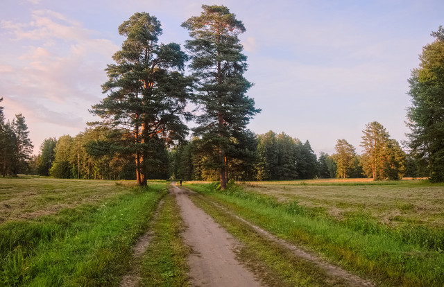 DSCF4023.jpg