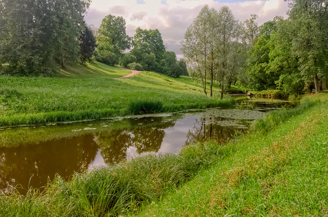 DSCF4385.jpg
