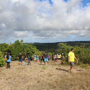 IMG-3951