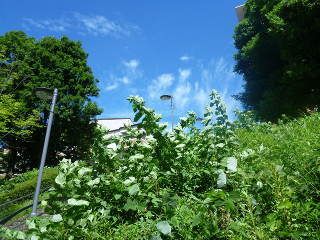 P1330781