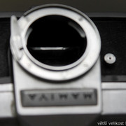 IMG-1647