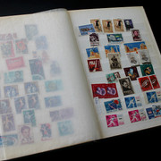 IMG-3047