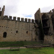 IMG-9800