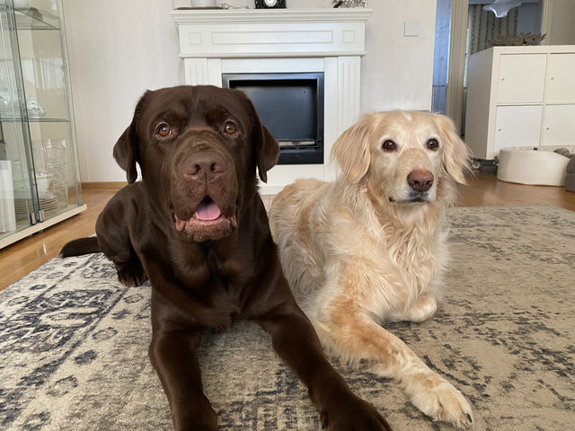 C778-EA71-DF45-4-E4-B-9-AEF-EE1-B1-DEFFD