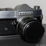 IMG-1658