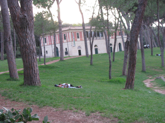 IMG-8806.jpg