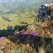 IMG-3040