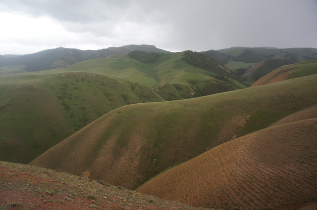 DSC01242