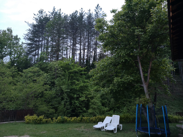 IMG-20230521-204633