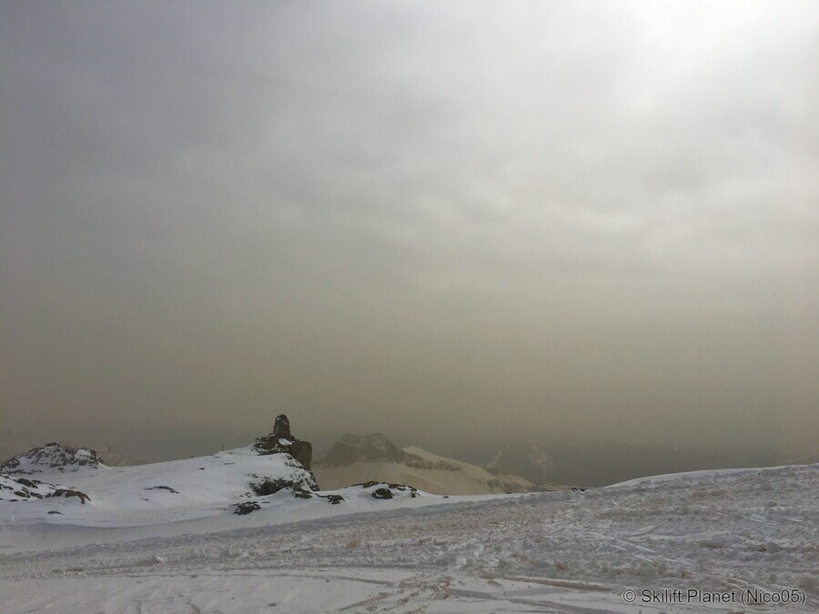 IMG-8897.jpg