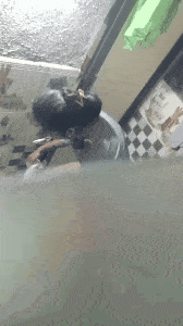 GIF-230129-110033.gif