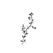 20200114-004