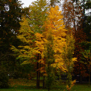 P9290598
